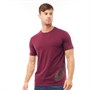 Asics Tee-Shirt Big Logo Homme Bordeaux