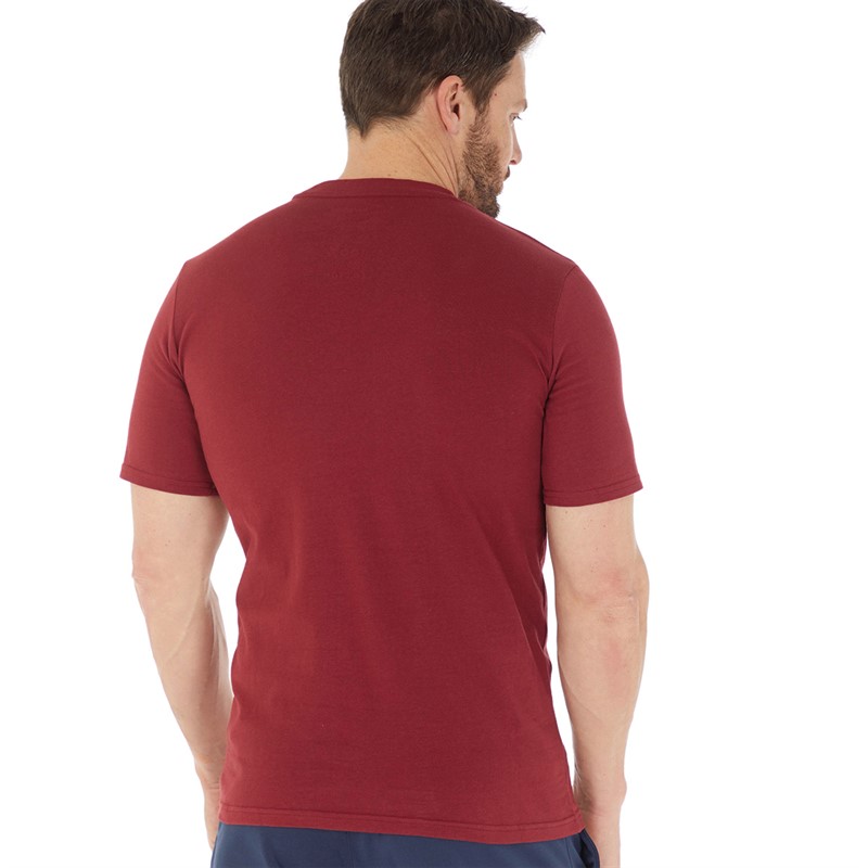 Berghaus Mens Big Color Logo T-Shirt Dark Red/Dark Red