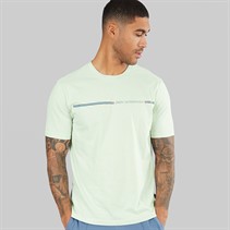 Mint Green/Multi