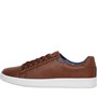 Ben Sherman Herresko Storm Træner Tan