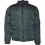 Brave Soul Vestes Puffa Davis Homme Vert