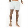 Brave Soul Mens Salou Swim Shorts Mint/White Stripe