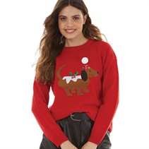 Brave Soul Womens Christmas Yule Dog Jumper Red