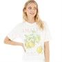 Brave Soul Womens Marina T-Shirt Tofu