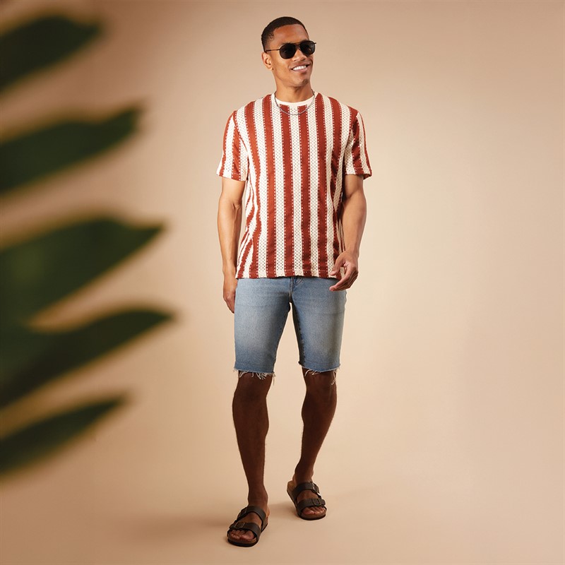 Brave Soul Mens Charleton T-Shirt Cream/Burnt Orange