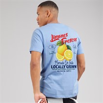 Brave Soul Mens Citron T-Shirt Cloud Blue/Multi Colour Print