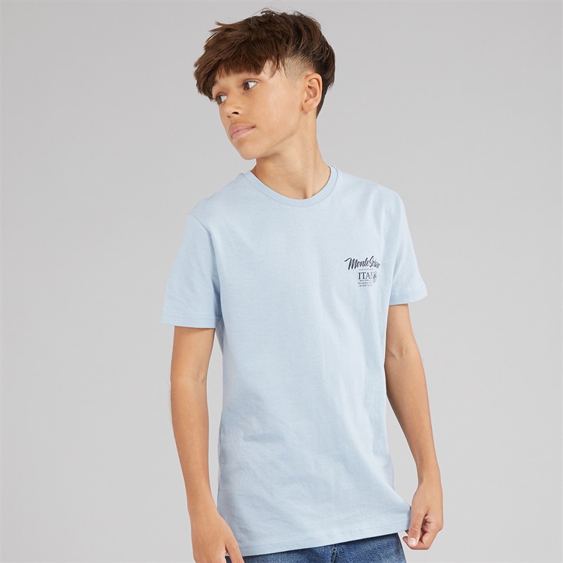 Brave Soul Drenge Solaro T-shirt Light Blue/Multi-Colour