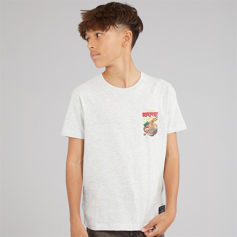 Brave Soul Drenge Scran T Shirt Ecru Marl/Multi Farve Ecru Marl/Multi-Colour