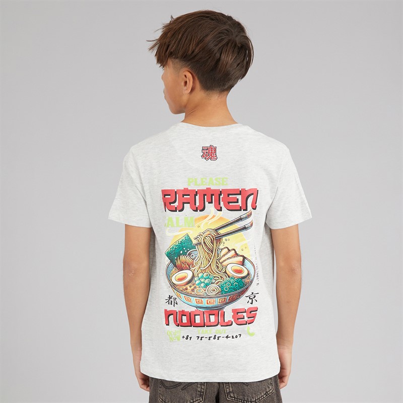 Brave Soul Drenge Scran T Shirt Ecru Marl/Multi Farve Ecru Marl/Multi-Colour