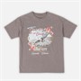 Brave Soul Womens Bird Acid Wash T-Shirt Grey Acid Wash