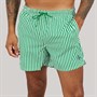 Calvin Klein Mens Swim Shorts Penny Stripe/Mardi Gras Green