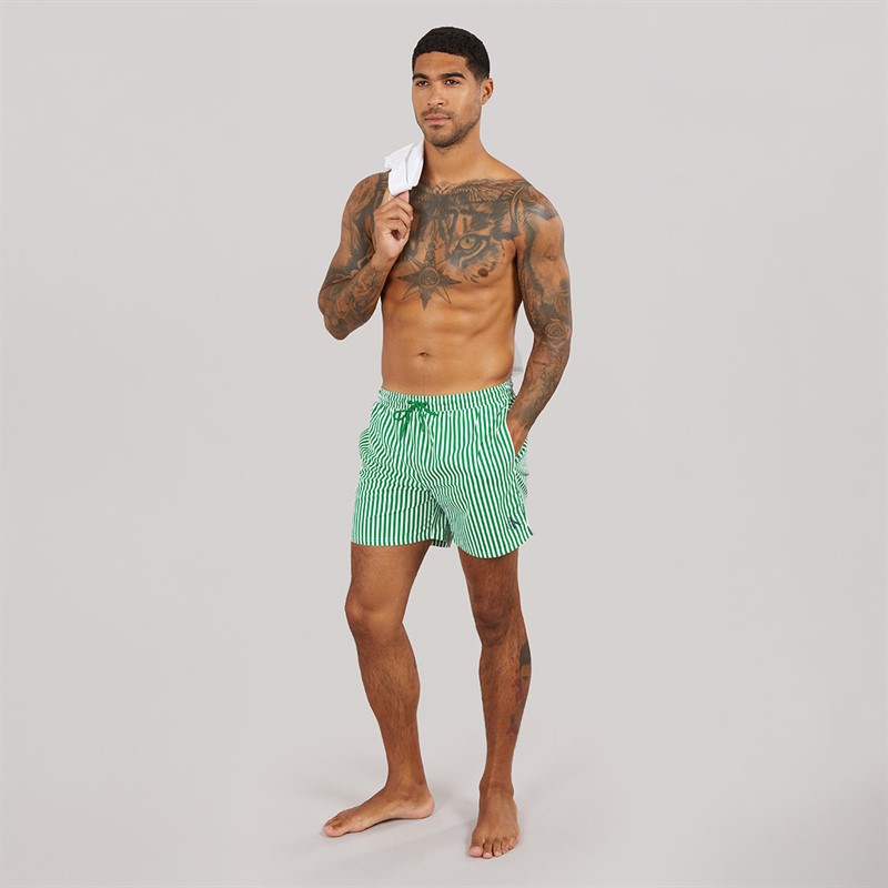 Calvin Klein Mens Swim Shorts Penny Stripe/Mardi Gras Green