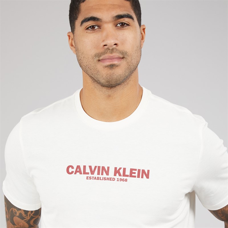 Calvin Klein Mens Short Sleeve Graphic T-Shirt White Greige