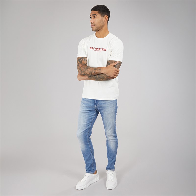 Calvin Klein Mens Short Sleeve Graphic T-Shirt White Greige