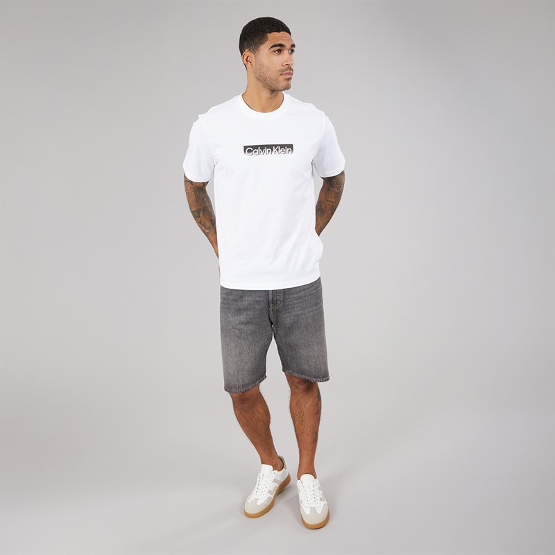 Calvin Klein Mens Short Sleeve Tonal Metallic Graphic T-Shirt Bright White