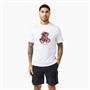 Closure London Mens Graffiti Outline Teddy T-Shirt White
