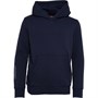 Canterbury Sweat à Capuche Team Junior Bleu