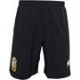 Canterbury Mens British & Irish Lions 8 Inch Woven Gym Shorts Black
