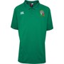 Canterbury Mens British & Irish Lions Pique Polo Green
