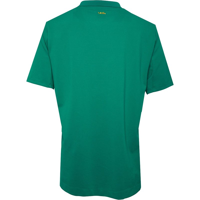 Canterbury Mens British & Irish Lions Pique Polo Green