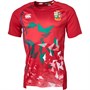 Canterbury Mens British & Irish Lions S Light Graphic Top Red