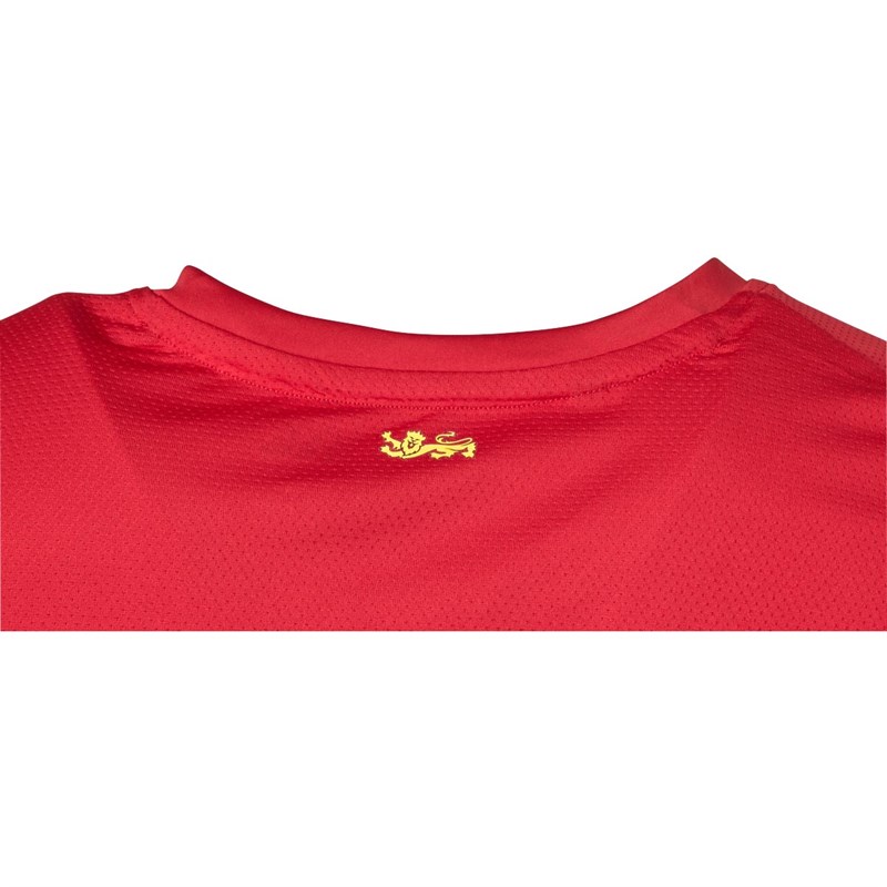 Canterbury Mens British & Irish Lions S Light Graphic Top Red