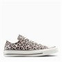 Converse Junior Girls Chuck Taylor All Star Ox Leopard Trainers Warm Clay/Egret/Black