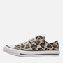 Converse Junior Chuck Taylor All Star Canvas Leopard Trainers Warm Quarry/Vintage White