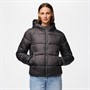 Pieces Dames Janni Korte Puffer Jas Magnet