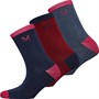 Crew Clothing Womens Three Pack Socks Navy/Maroon/Indigo
