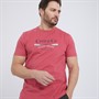 Crew Clothing Mens Oars Printed T-Shirt Hollyberry