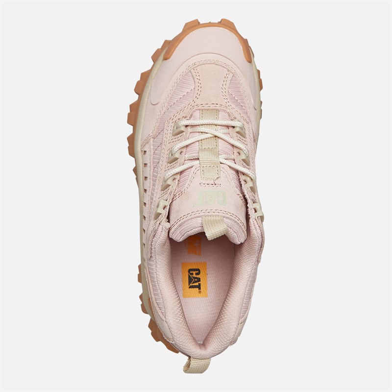 Caterpillar Womens Intruder Shoes Cameo Rose