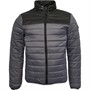Crosshatch Vestes Puffa Presnell Homme Gris