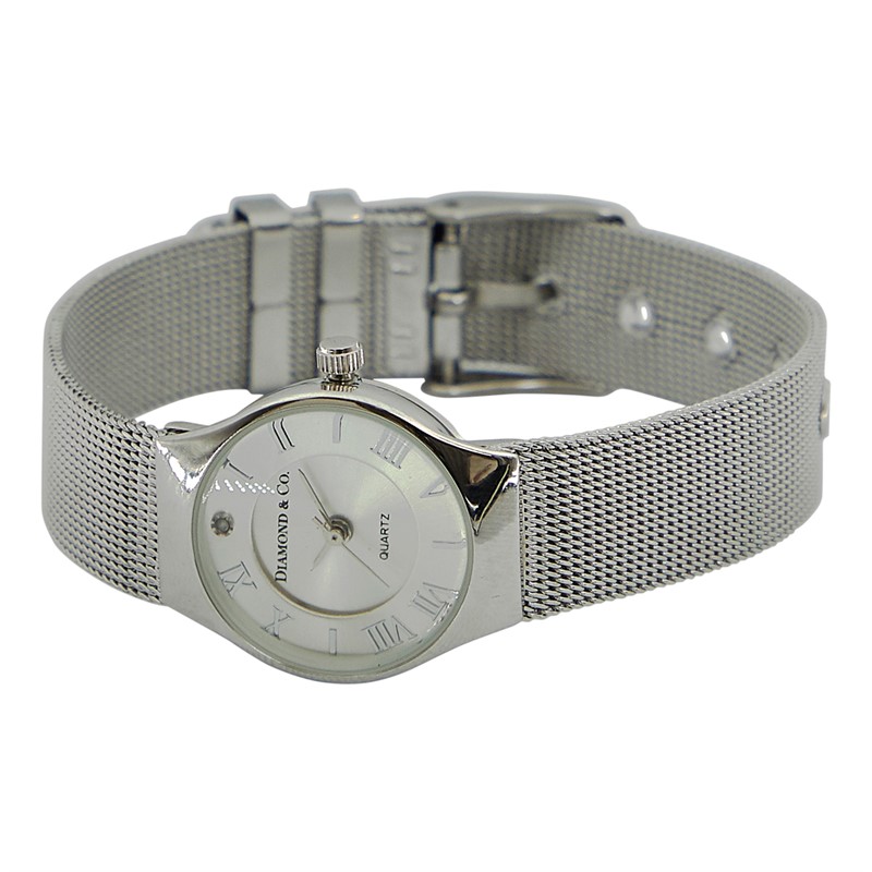 Diamond & Co Womens Watch With Genuine Diamond Silver