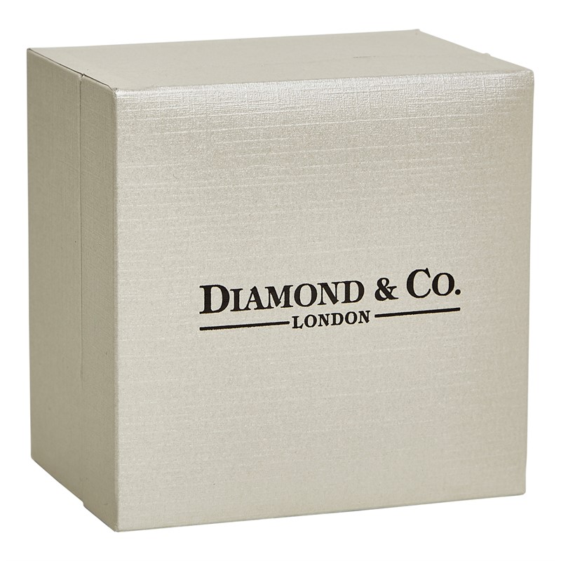 Diamond & Co Womens Watch With Genuine Diamond Silver