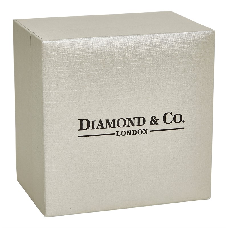 Diamond & Co Womens Watch With Genuine Diamond Two Tone