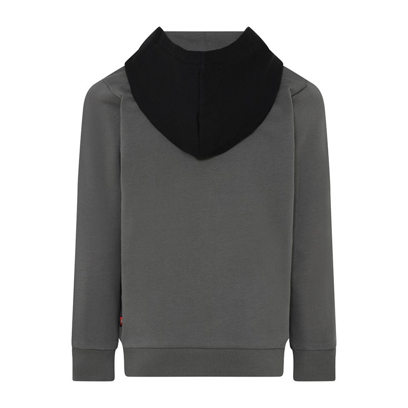 LEGO Chłopięce Bluzy z kapturami Odcienie szarości