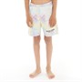 DFND London Boys Stripesplat Swim Shorts Multi