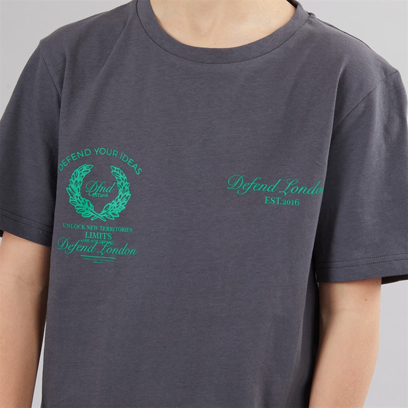 DFND London Boys T-Shirt And Shorts Co-Ord Set Grey