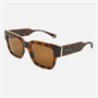 Polaroid Sunglasses Havana