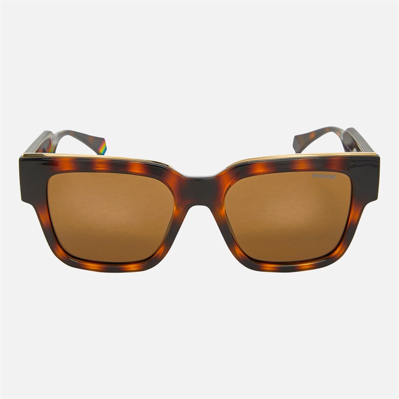 Polaroid Sunglasses Havana