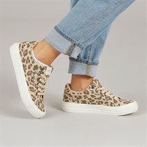 Rocket Dog Womens Cecila Trainers Leopard Tan