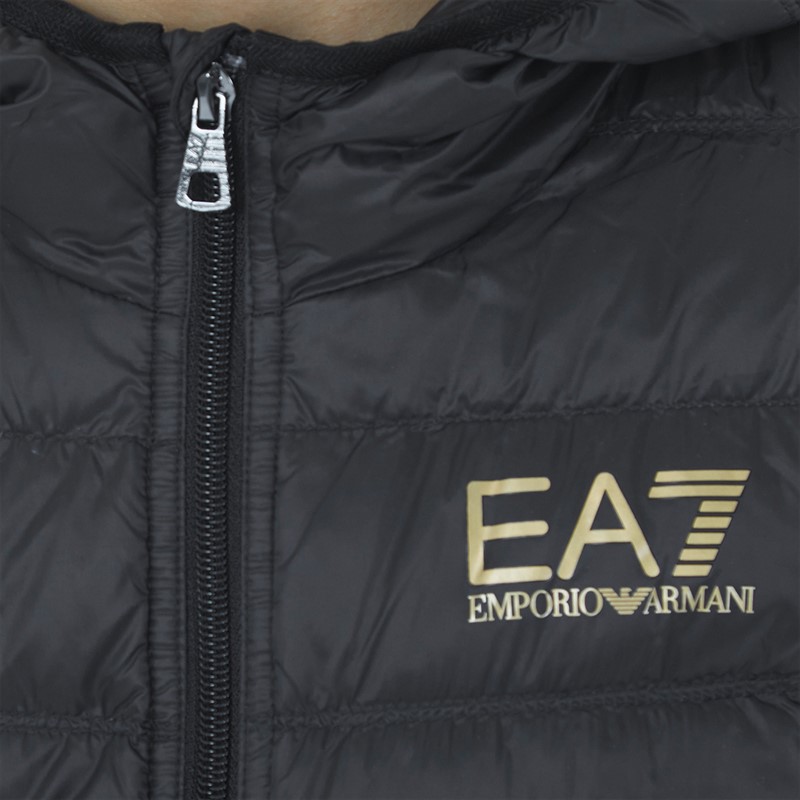 EA7 Boys Emporio Armani Light Jacket Black/Logo Gold