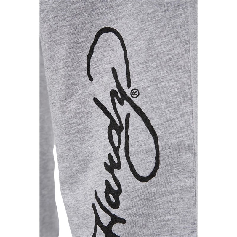 Ed Hardy Vêtements de Détente Temple Homme Gris Clair Chiné
