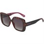 Bench Womens Sunglasses Tort/Aubergine