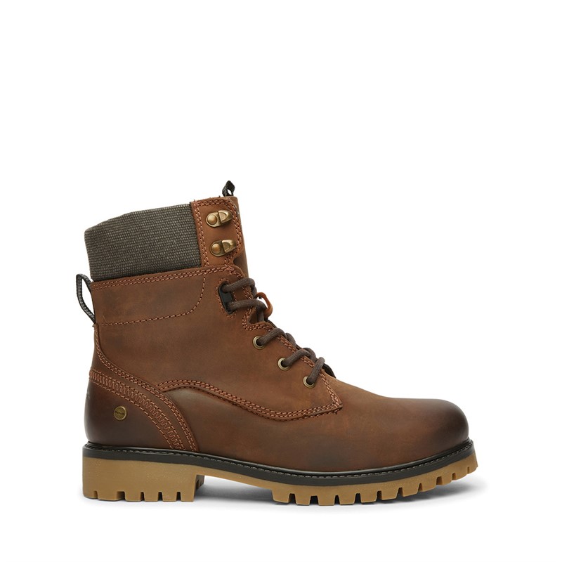 Bench Herenschoenen Oldham Aviator Chestnut