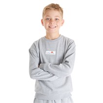 Ellesse Junior Boys Saliotto Sweatshirt Grey Marl