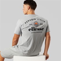 Ellesse Mens Lyon Relaxed-Fit Back Logo T-Shirt Grey