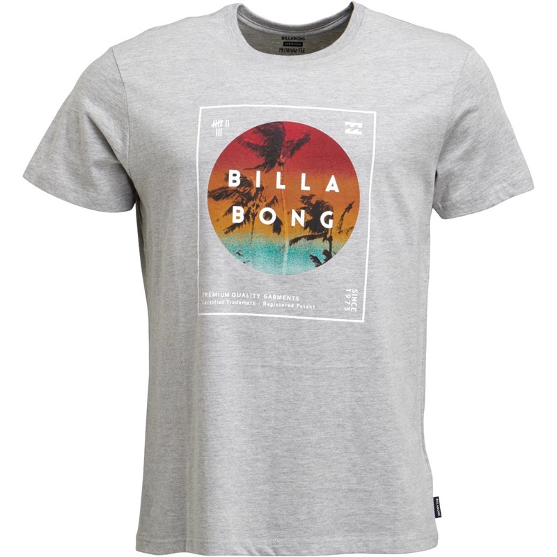 Buy Billabong Mens Divided Short Sleeve TShirt Grey Heather