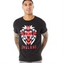 Fluid Mens England Lion T-Shirt Black